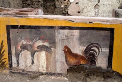 Private Archaeologist service to explore Pompeii's secrets any time ticket incl. - Price and timing: what $144.03 buys you