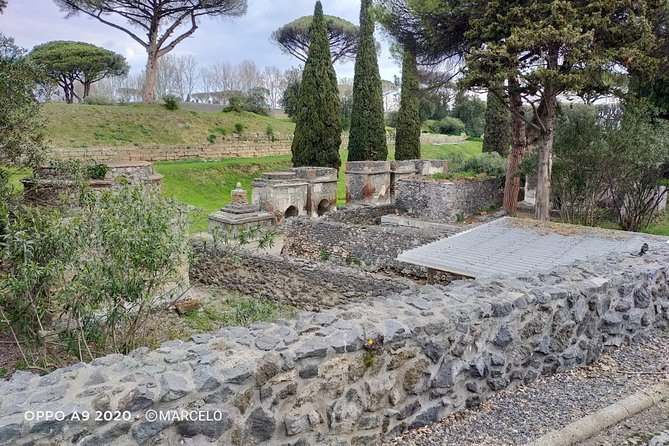 Private Archaeologist service to explore Pompeii's secrets any time ticket incl. - Stop 1: Archaeological Park of Pompeii with skip-the-line entry