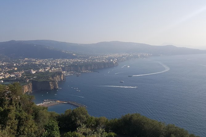 Private day tour to Pompei ,winery, Sorrento from Napoli/Salerno/Amalfi/Positano - Private door-to-door day: Pompeii, Vesuvius winery, and Sorrento