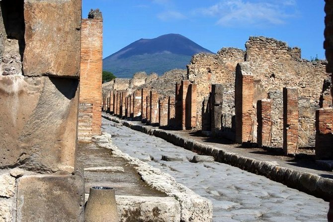 Private day tour to Pompei ,winery, Sorrento from Napoli/Salerno/Amalfi/Positano - Vesuvius vineyard lunch: the wine tasting is the real centerpiece