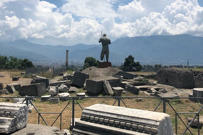 Private Full Day Tour Ruins of Pompei and Wine Tasting Experience - Private transportation: the hidden value in a “small group” day