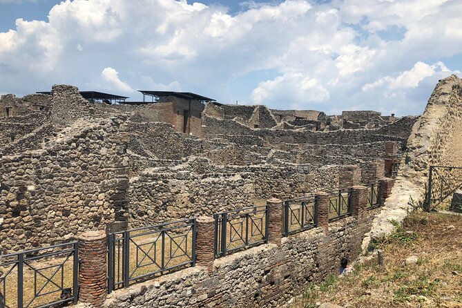 Private Full Day Tour Ruins of Pompei and Wine Tasting Experience - Price and value: what you pay for, and what to budget