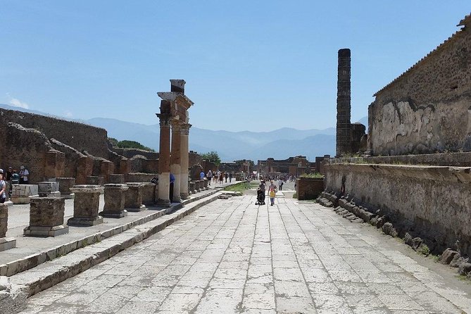 Private Guided Tour of Pompeii and Herculaneum - Herculaneum: Comparing What You See Without the Guesswork