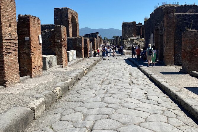 Private Guided Tour of Pompeii Excavations - Why a private Pompeii guide can save your first day