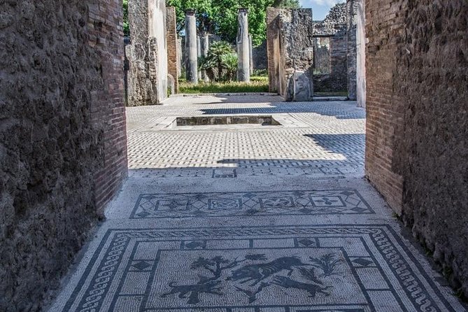 Private Guided Tour of Pompeii. Sunset Tour - The Forum Circuit: Apollo Temple, Main Square, Granai del Foro