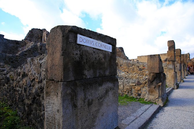 Private Half-Day Tour of The Pompeii Ruins Highlights and Mann - Why this Pompeii-and-Naples pairing works in half a day