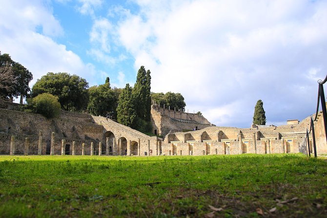 Private Half-Day Tour of The Pompeii Ruins Highlights and Mann - Price and value: what you pay for at $310.24 per person