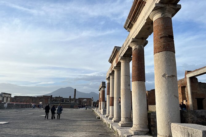 Private Half Day Tour to the Ruins of Pompeii - Price and Value: Is $220.35 Per Person Worth It?
