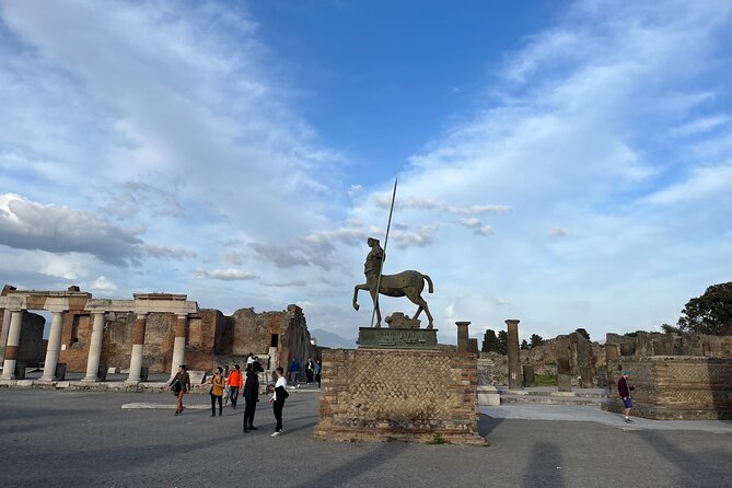 Private Half Day Tour to the Ruins of Pompeii - The Optional Lunch and Vesuvius Wine Tasting Add-On