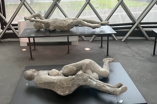 Private Half Day Tour to the Ruins of Pompeii - Who This Private Half-Day Tour Fits Best