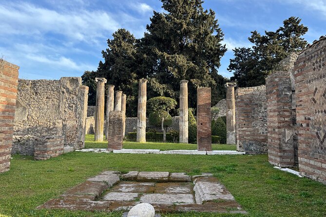 Private Half Day Tour to the Ruins of Pompeii - Pickup, Timing, and Getting There Without Stress
