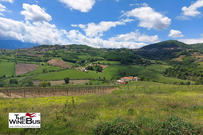 Private Irpinia Wine Tour from POSITANO, AMALFI or RAVELLO - Key things I’d book this for