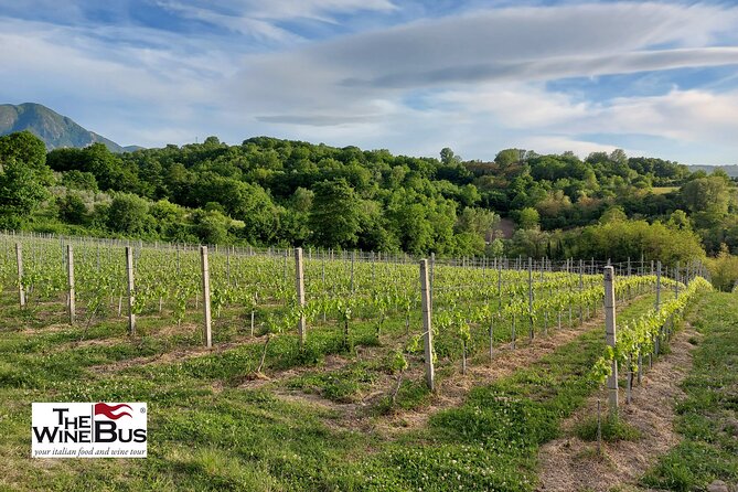 Private Irpinia Wine Tour from POSITANO, AMALFI or RAVELLO - The sommelier-guide effect: Guy and Gaetano as examples of what to look for