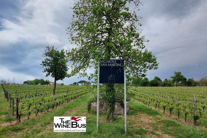Private Irpinia Wine Tour from Sorrento with sommelier - Sorrento pickup to Irpinia hills: why this drive is part of the point