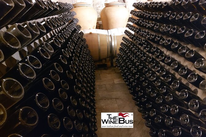 Private Irpinia Wine Tour from Sorrento with sommelier - Food and pairings: how this tour handles the “wine + you” connection