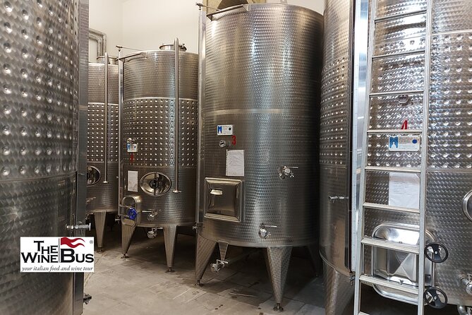 Private Irpinia Wine Tour from Sorrento with sommelier - What “6 glasses of wine” means for your pacing