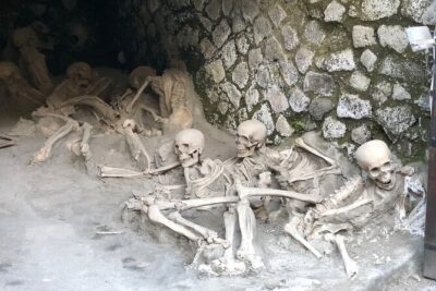 Private Pompeii and Herculaneum with Wine Tasting - Full Tickets - Getting Picked Up: The Mercedes Van Comfort That Saves Your Energy