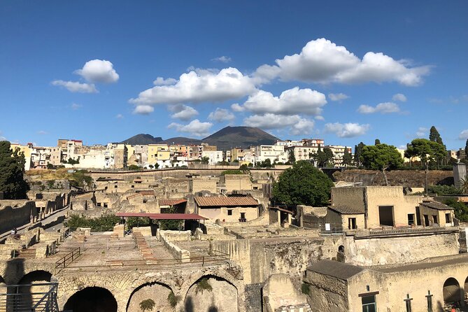 Private Pompeii and Herculaneum with Wine Tasting - Full Tickets - Vesuvius Photos Without the Crater Drive