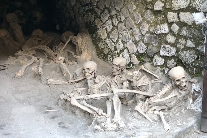 Private Pompeii and Herculaneum with Wine Tasting - Full Tickets - Getting Picked Up: The Mercedes Van Comfort That Saves Your Energy