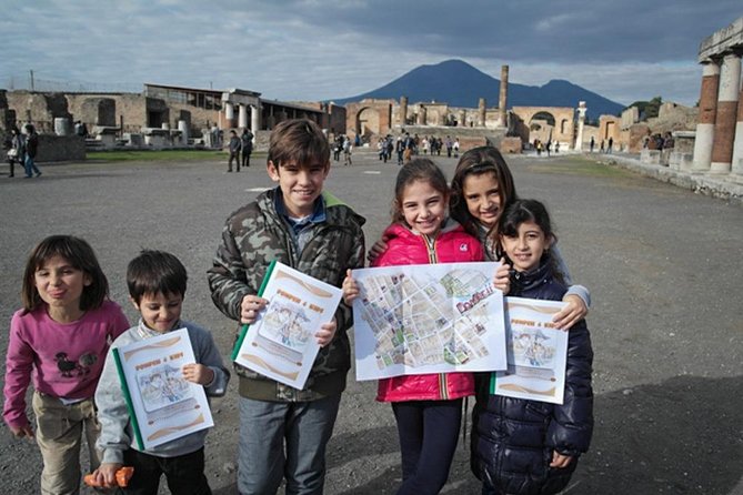 Private Pompeii and Vesuvius with Wine Tasting and Full Tickets - Price and Logistics: Is $701.99 a Smart Value?