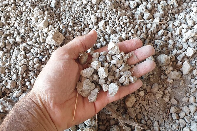 Private Pompeii Tour with Archaeologist & Winery on Mt Vesuvius - Temple of Apollo: Greek-Italic roots with a Vesuvius view