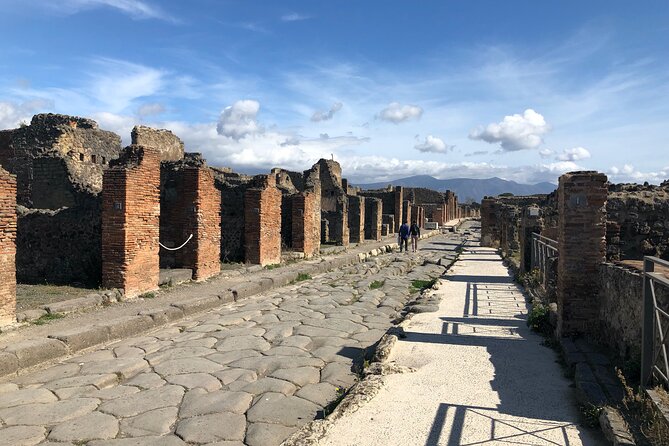 Private Pompeii Tour with lunch and Olive Oil Factory Experience - What your money covers (and the one extra cost you must plan for)