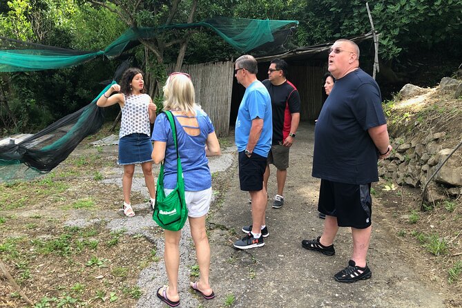 Private Pompeii Tour with lunch and Olive Oil Factory Experience - Who this Pompeii and olive oil combo suits best