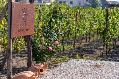 Private Pompeii Tour with Organic Wine Tasting & Lunch - Pompeii ruins with a private licensed guide (and what you’ll feel during the walk)