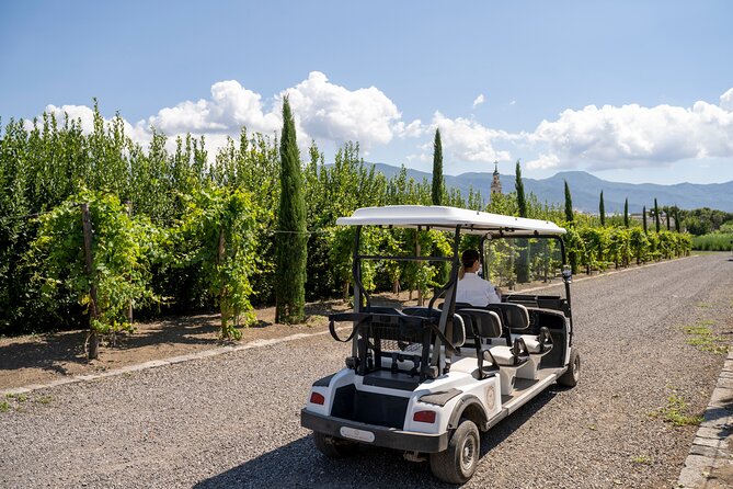 Private Pompeii Tour with Organic Wine Tasting & Lunch - The guides: why private storytelling matters in Pompeii