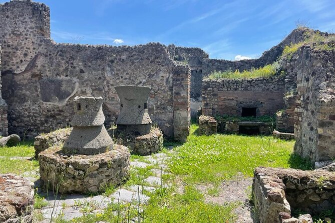 Private Skip The Line Archeo Tour Of Pompeii - Forum and Basilica: Where Everyday Life Met Civic Life