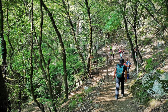 Private Tour: Amalfi Valle delle Ferriere Nature Reserve Walking Tour - Pontone and the medieval mule track back toward Amalfi