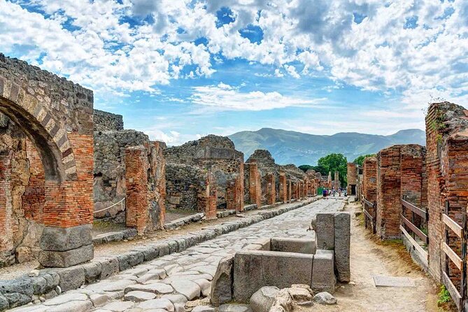 Private Tour in Pompeii Ruins and Pompeii City Center Winery - Private pickup from Sorrento: less hassle, better flow