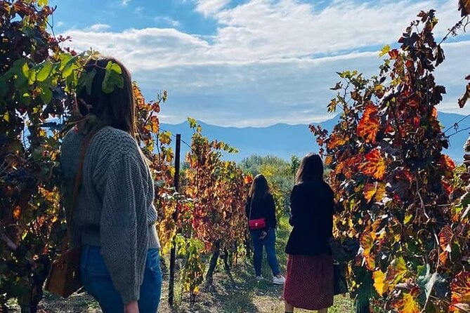 Private Tour in Pompeii Ruins and Pompeii City Center Winery - Pompeii city center and the Sanctuary: a meaningful stop with minimal rush