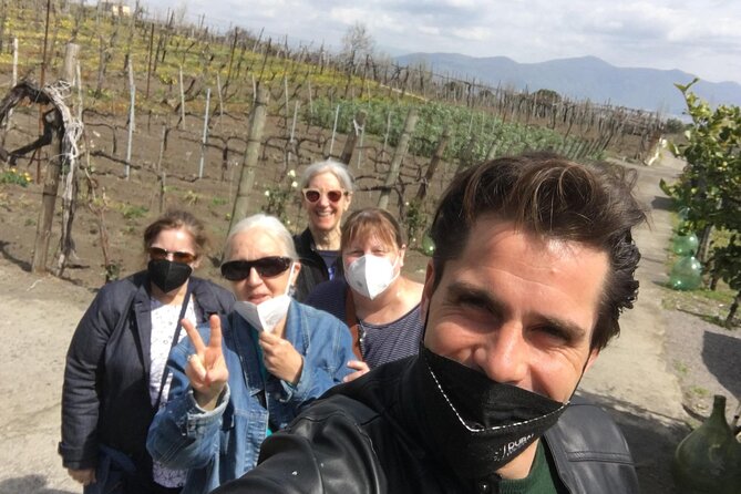 Private Tour in Pompeii Ruins and Pompeii City Center Winery - Who this Pompeii and winery tour suits best