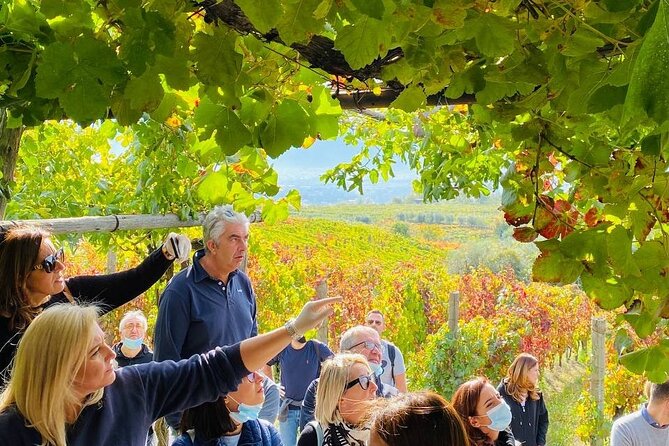 Private Tour in Pompeii Ruins and Pompeii City Center Winery - Should you book this tour?