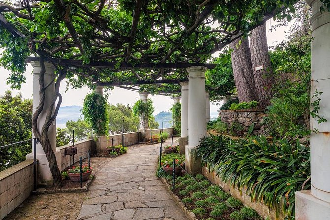 Private Tour of Capri and Anacapri From Sorrento - Villa San Michele: a fast taste of Axel Munthe’s world