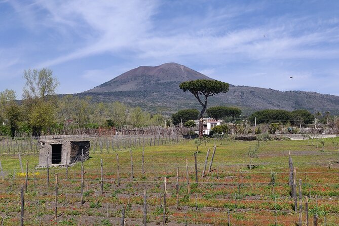 Private Tour Pompeii, Vesuvius and Herculaneum - What to pack and how to handle the Vesuvius walk