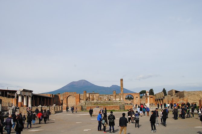 Private tour Pompeii Vesuvius and Winery from Sorrento - Winery lunch on the slopes: wine tasting, food, and a pizza fallback