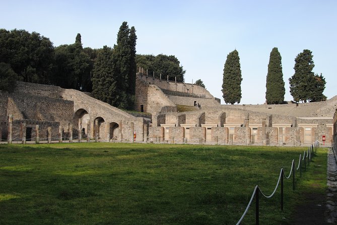 Private tour Pompeii Vesuvius and Winery from Sorrento - Who this tour is best for (and who might want a different style)
