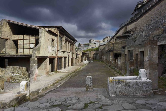 Private tour Pompeii Vesuvius and Winery from Sorrento - Pompeii Archaeological Park: wandering streets, shops, and homes