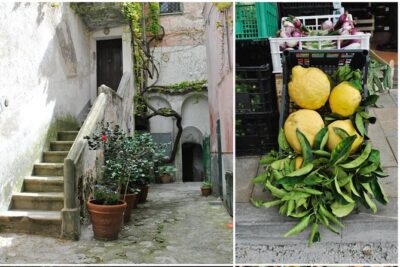 Private Tour: The Path of the Lemons - The Secret Lemon Garden: Why This Stop Gets People Excited