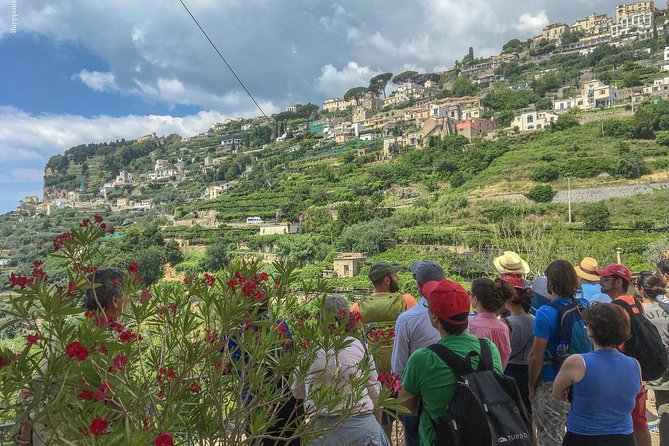 Private Tour: The Path of the Lemons - Who This Tour Suits Best (And Who Should Rethink It)