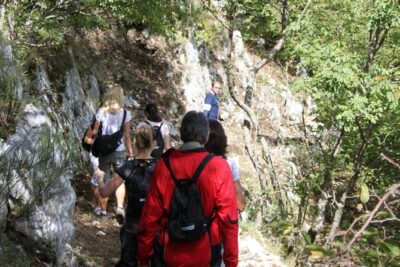 Private Tour: Truffle-Hunting Experience from Sorrento with Lunch - Meet the Truffle Hunter and His Dogs: What You Learn on Day One