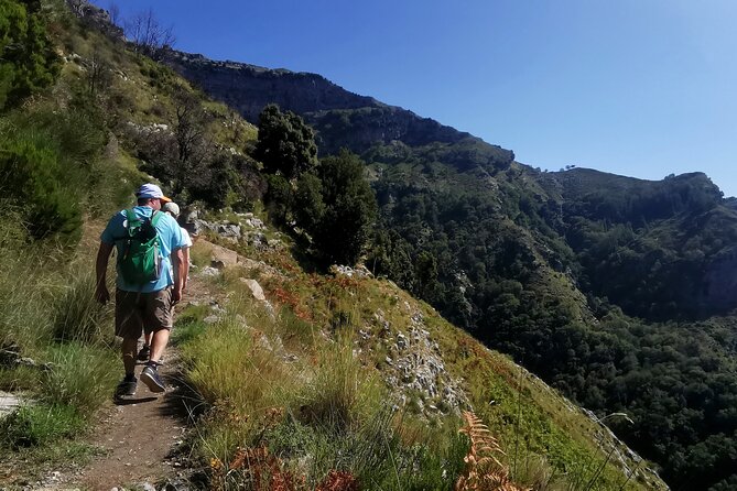 Private Tour Walking in Ferriere Valley Nature Reserve Amalfi - Stop 1: plant colonies that survived from distant times