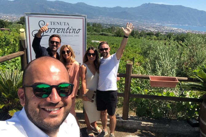 Private Transfer from Naples to Sorrento or Vice Versa - Sorrento Drop-Offs: Where Your Hotel Door Meets Reality