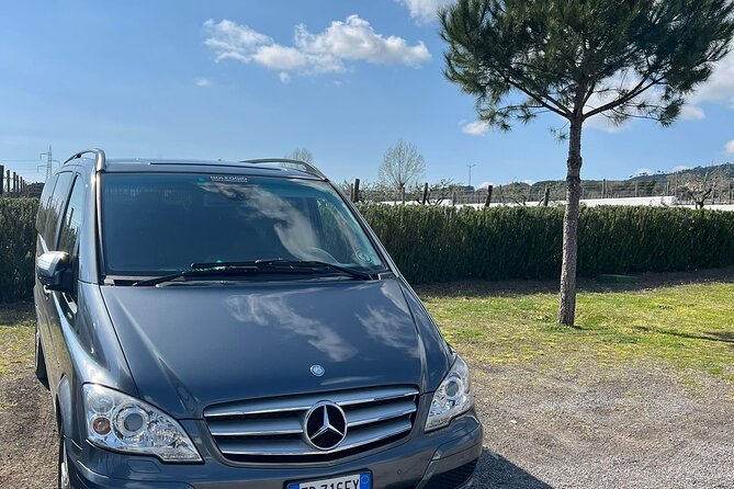 Private Transfer from Positano to Naples Airport - Value check: when this transfer is a smart buy