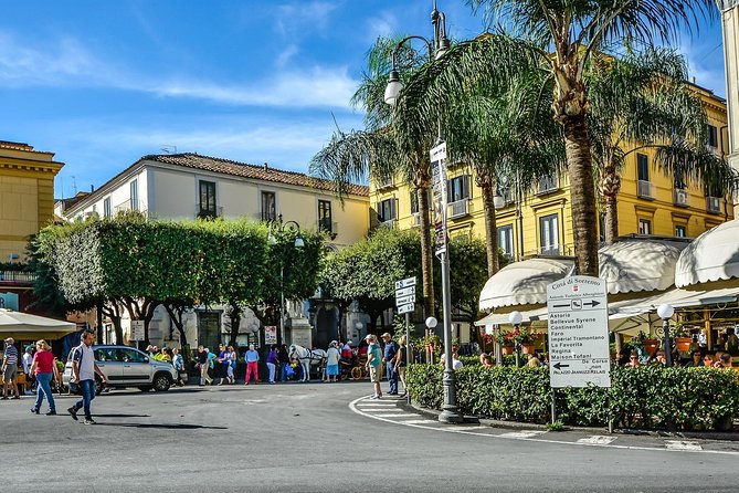 Private Transfer from Sorrento or Amalfi coast to Naples or vice versa - Door-to-door private transfer: what you’re really paying for