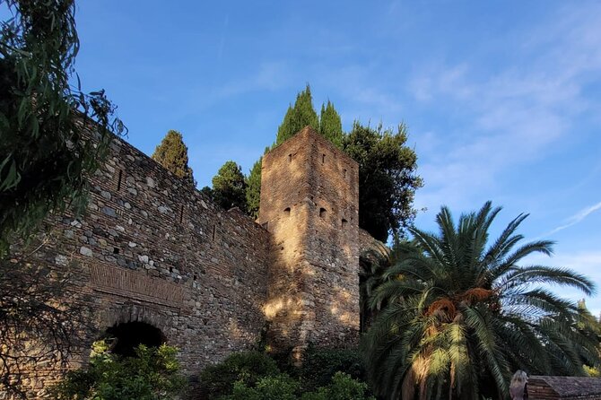 Private Transfer From Sorrento to Naples - Price and Value: What $107.23 Per Person Buys You