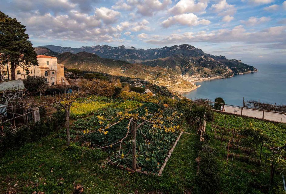 Ravello: 2-Hour Private Walking Tour - Should you book this Ravello tour?