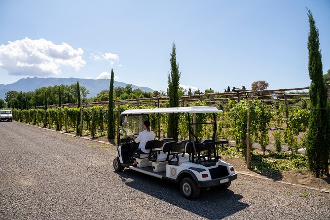 Seafood Lunch & Wine Tasting with Scenic Golf Cart Tour - Key highlights to look forward to